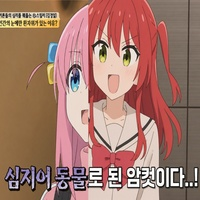 디시콘