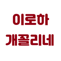 디시콘