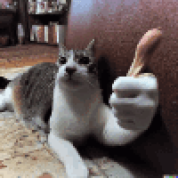 디시콘