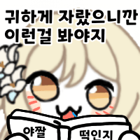 디시콘