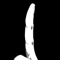 디시콘