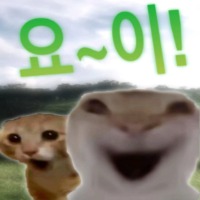 디시콘