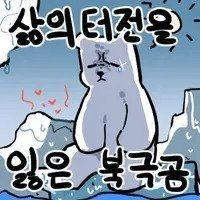 디시콘