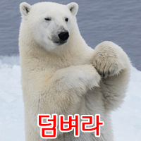 디시콘