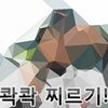 디시콘