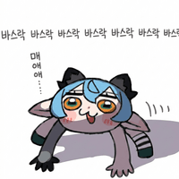 디시콘