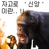디시콘