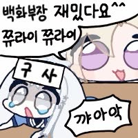 디시콘