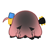 디시콘