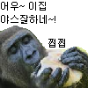 디시콘