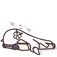 디시콘