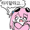 디시콘