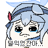 디시콘