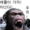 디시콘