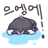 디시콘