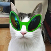 디시콘