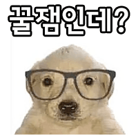 디시콘