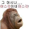 디시콘