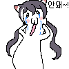 디시콘