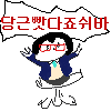 디시콘