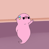 디시콘