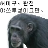 디시콘