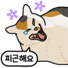 디시콘