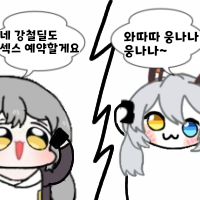 디시콘