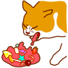 디시콘