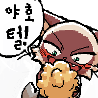 디시콘