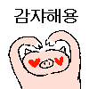 디시콘