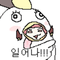 디시콘