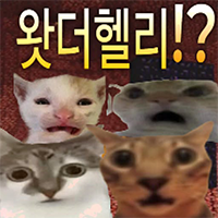 디시콘
