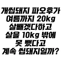 디시콘