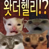 디시콘