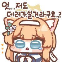디시콘