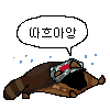 디시콘