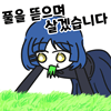 디시콘