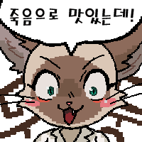 디시콘