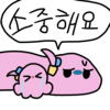 디시콘