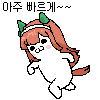 디시콘