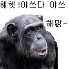 디시콘
