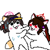 디시콘