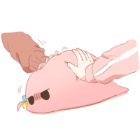 디시콘
