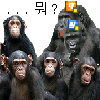 디시콘