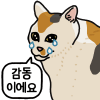 디시콘