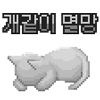 디시콘