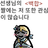 디시콘