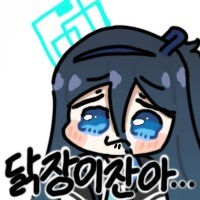 디시콘