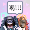 디시콘